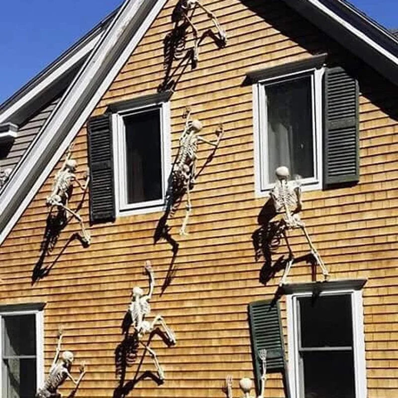 Hanging Skeleton Halloween Decoration — Haunted House Prop