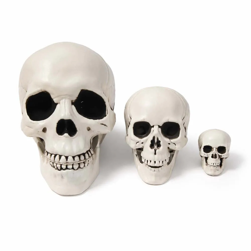 Realistic Halloween Skull Decoration — Indoor & Outdoor Prop