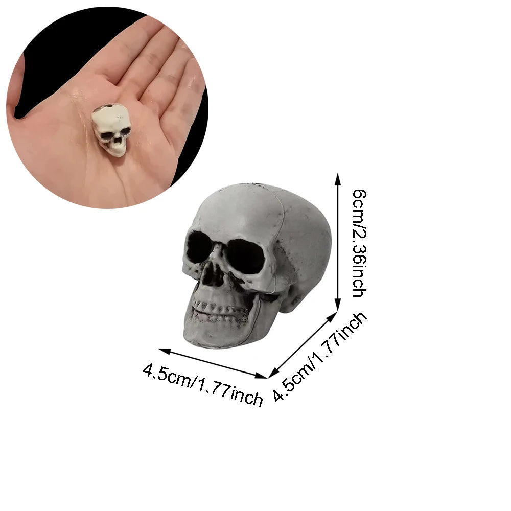 Realistic Halloween Skull Decoration — Indoor & Outdoor Prop