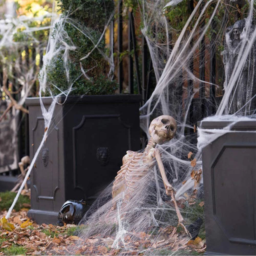 Hanging Halloween Skull & Web Decoration — Indoor/Outdoor Prop