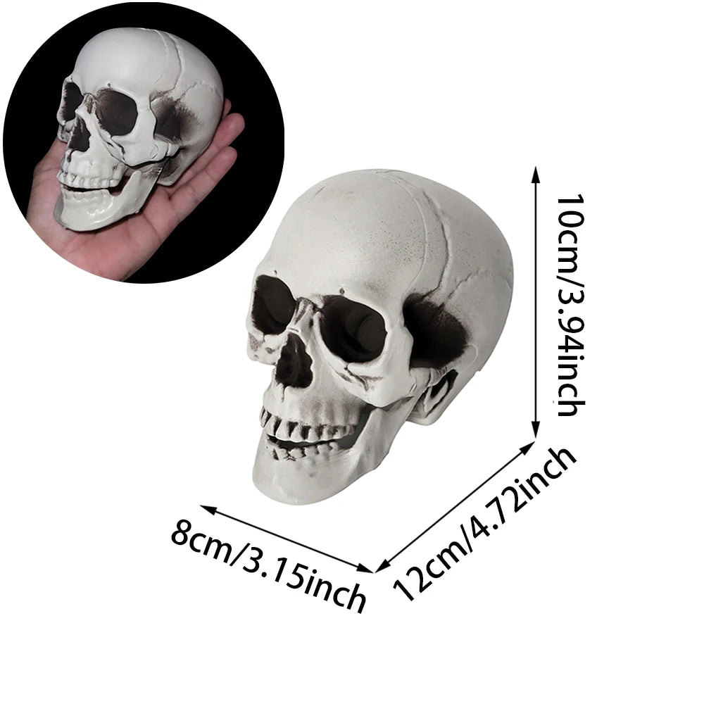 Realistic Halloween Skull Decoration — Indoor & Outdoor Prop