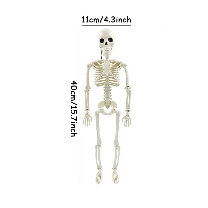 Hanging Skeleton Halloween Decoration — Haunted House Prop