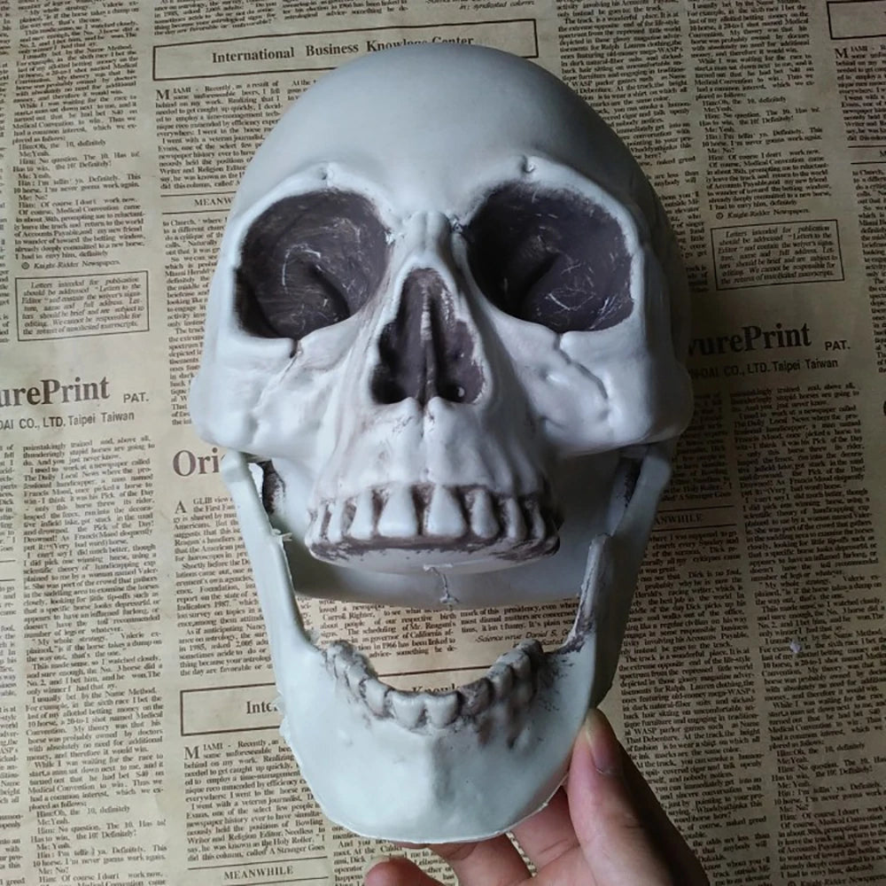 Realistic Halloween Skull Decoration — Indoor & Outdoor Prop