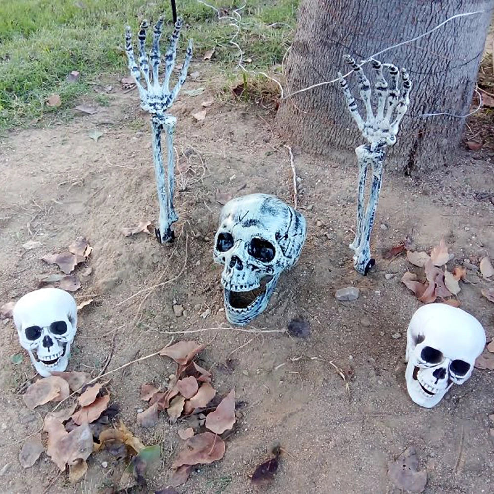 Realistic Halloween Skull Decoration — Indoor & Outdoor Prop